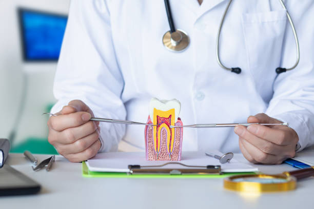 Best Dentist for Tooth Abscess  in Fairport Harbor, OH